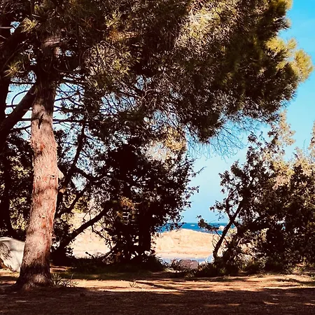 Neuve, Piscine Chauffee Villa Zonza